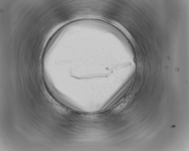 X0000077321004200611171738