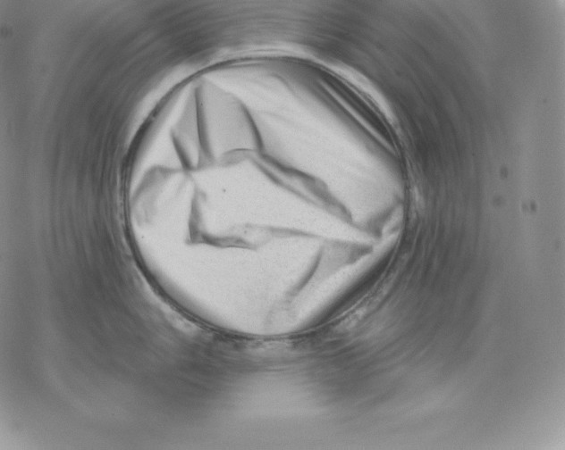 X0000077321006200611171738