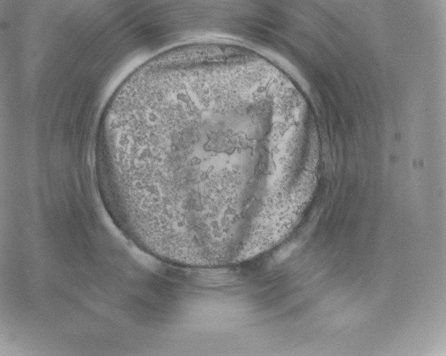 X0000077321007200611171738