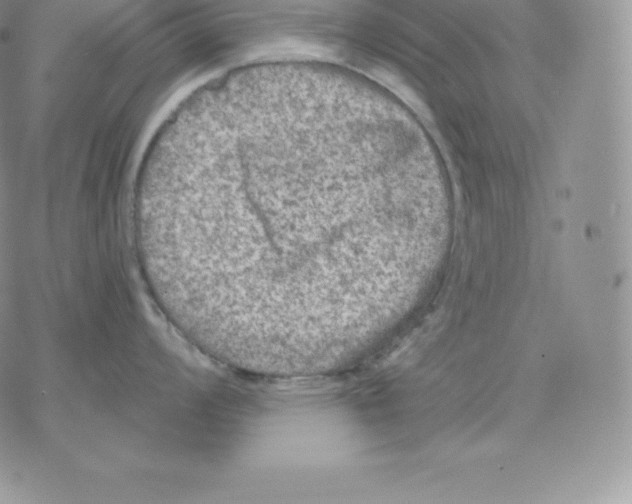 X0000077321008200611171738