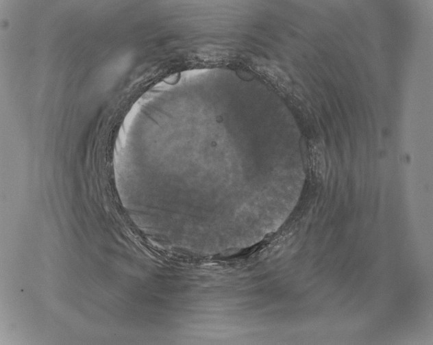 X0000077321009200611171737