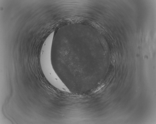 X0000077321010200611171737