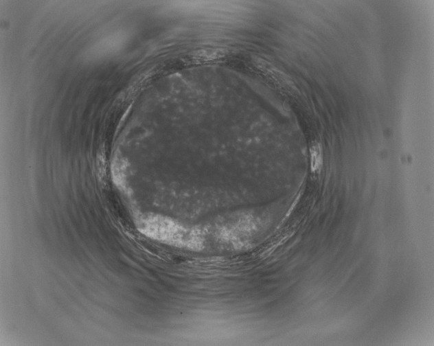 X0000077321011200611171737