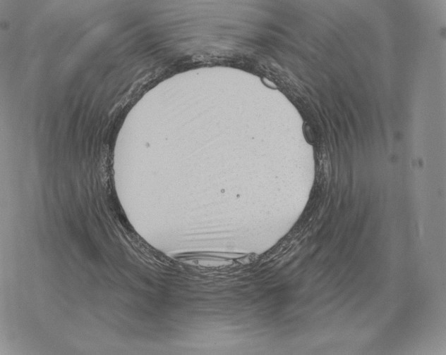 X0000077321012200611171737