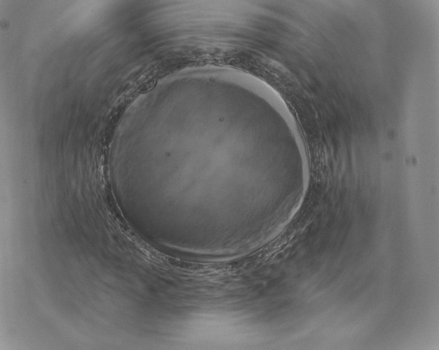 X0000077321013200611171737