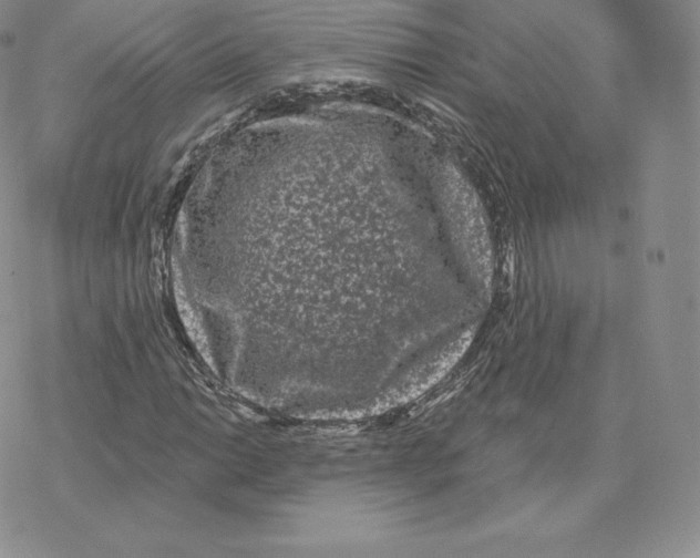 X0000077321014200611171737