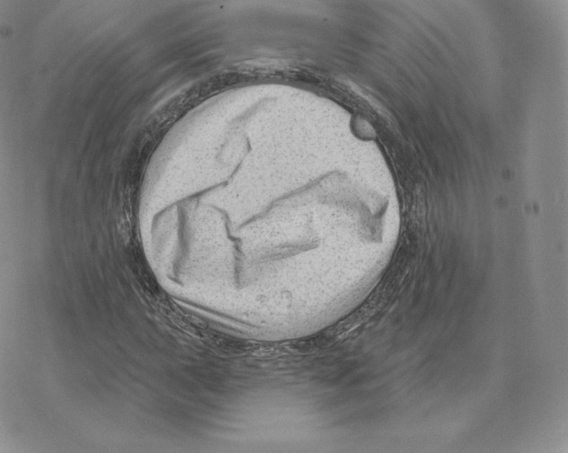 X0000077321015200611171737