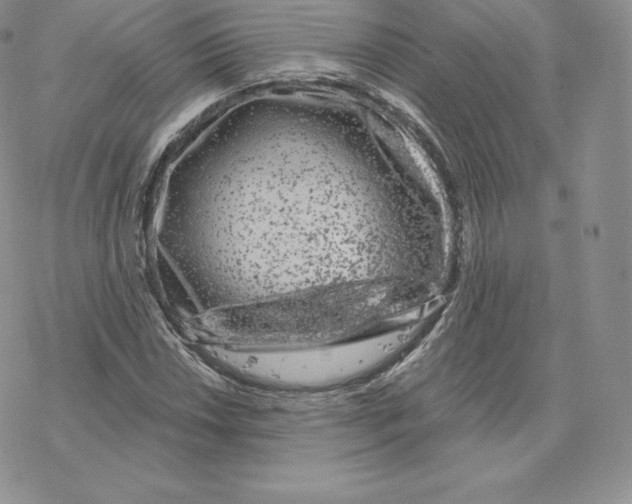 X0000077321018200611171737