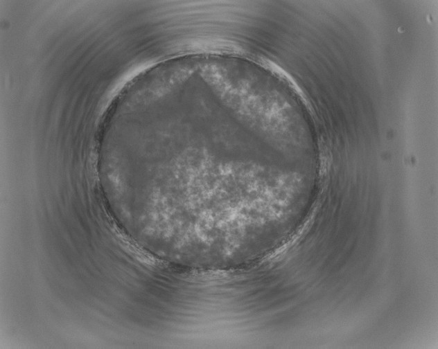 X0000077321019200611171737