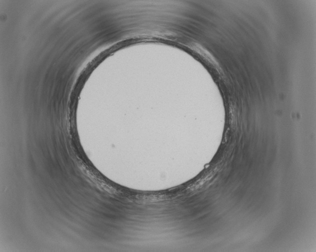 X0000077321020200611171737