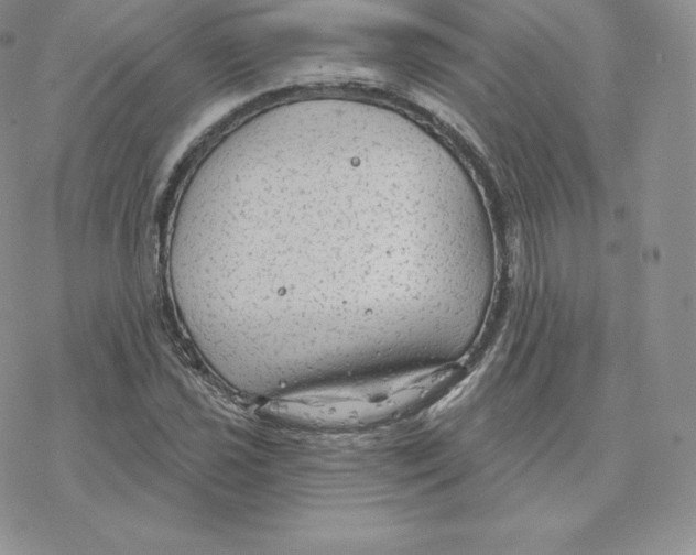 X0000077321021200611171737