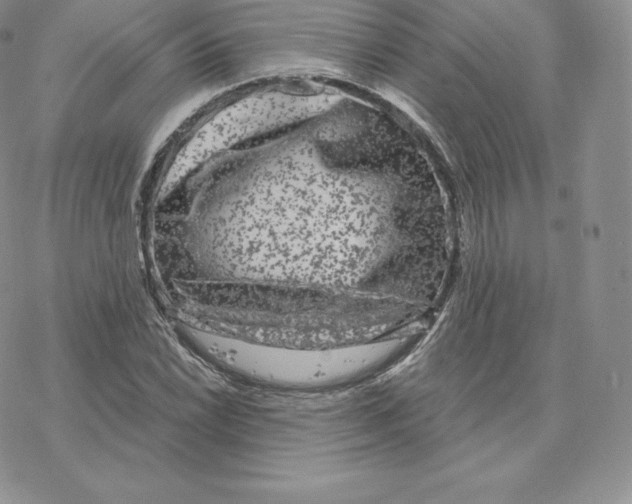 X0000077321022200611171737