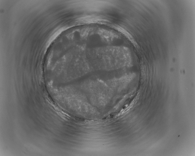 X0000077321023200611171737