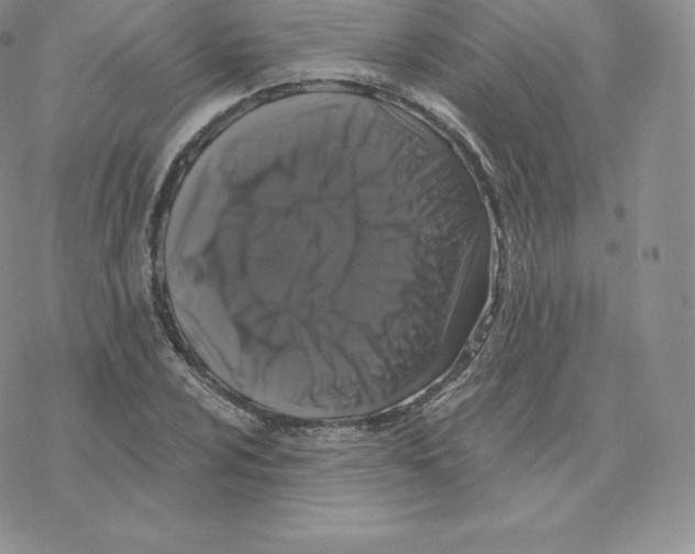 X0000077321024200611171737