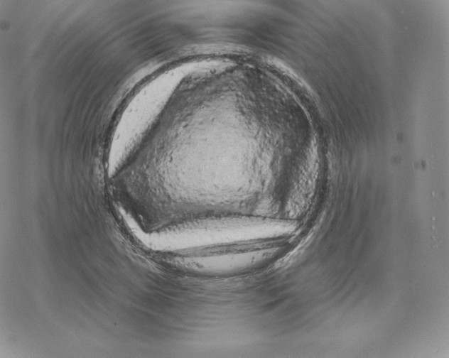 X0000077321025200611171737