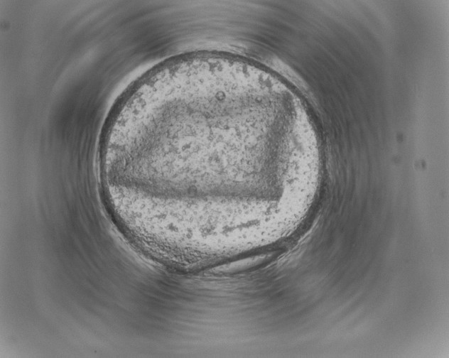 X0000077321028200611171737