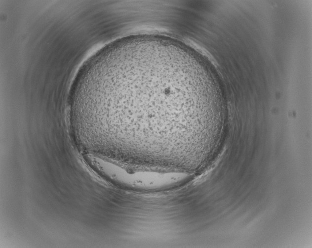 X0000077321029200611171737