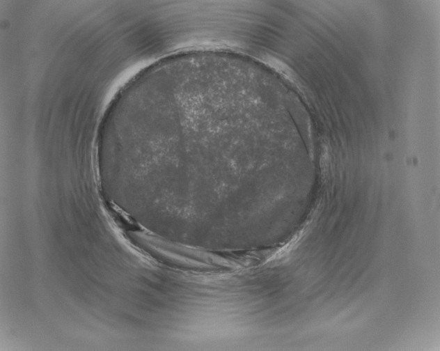 X0000077321030200611171737