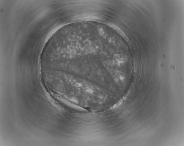 X0000077321031200611171737