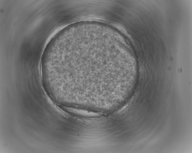 X0000077321032200611171737