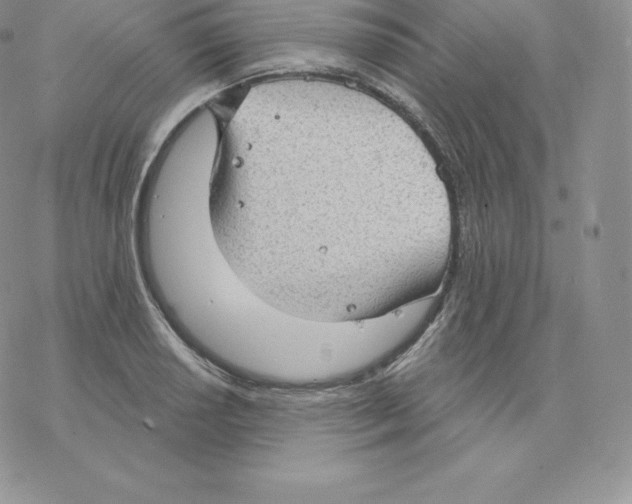 X0000077321034200611171737