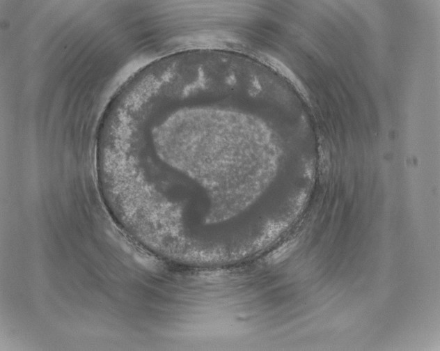 X0000077321035200611171737