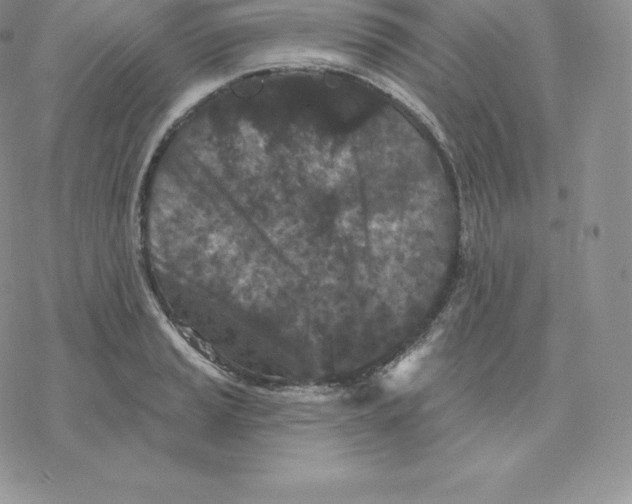 X0000077321037200611171737