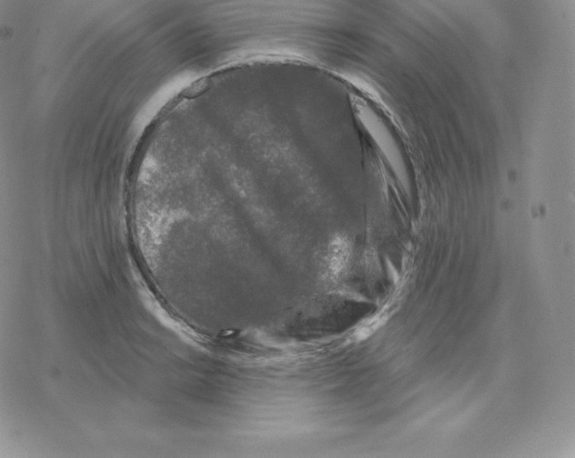 X0000077321038200611171737