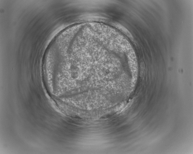 X0000077321039200611171737