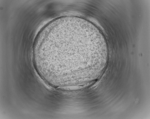 X0000077321040200611171737