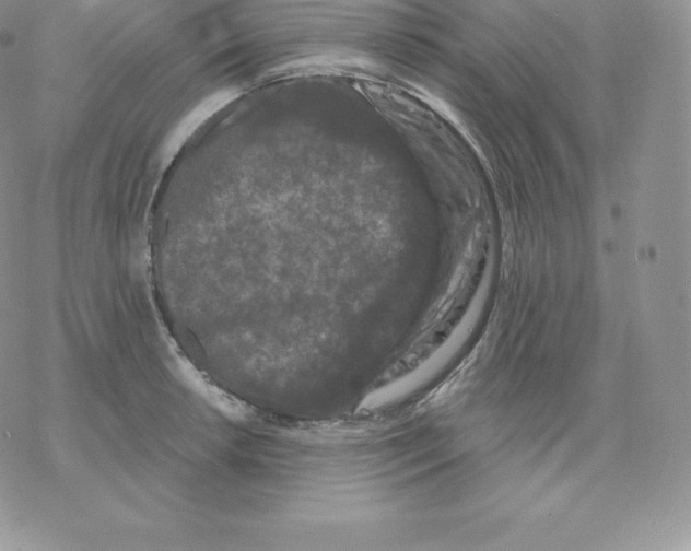 X0000077321042200611171737