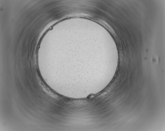 X0000077321044200611171737