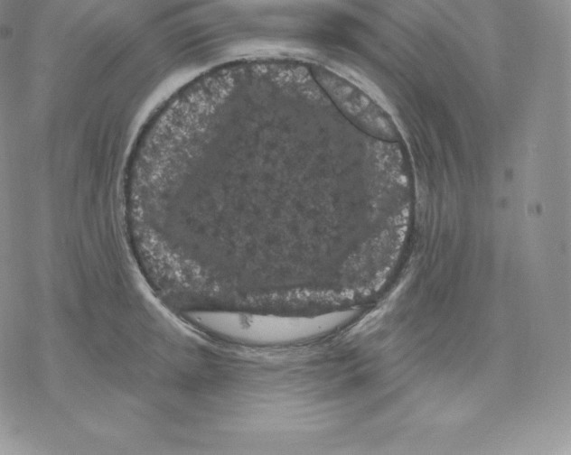 X0000077321045200611171737