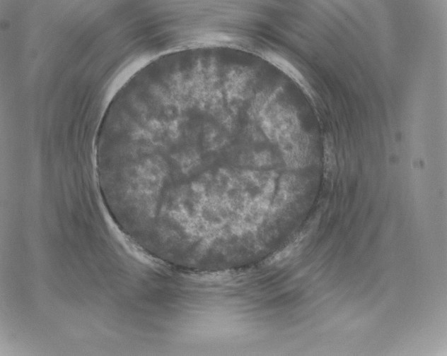 X0000077321047200611171737