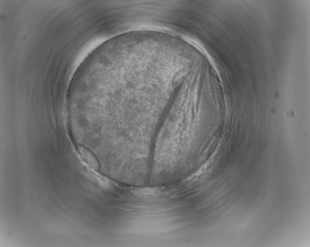 X0000077321048200611171737