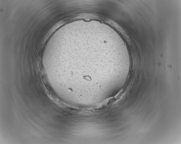 X0000077321049200611171737