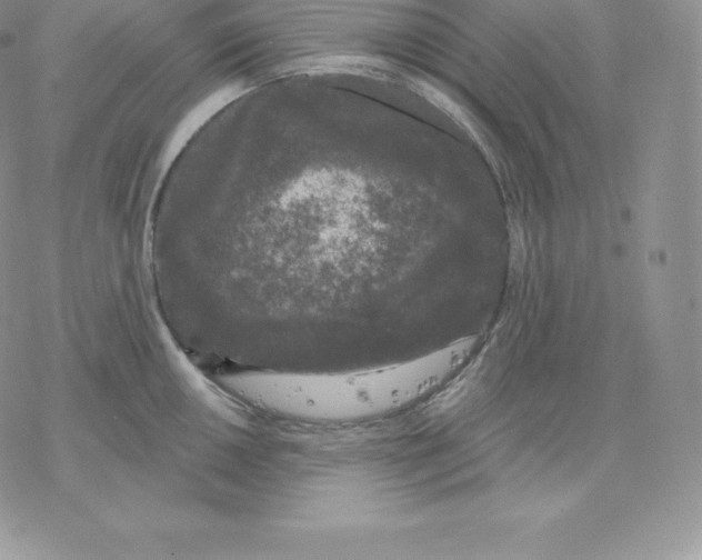 X0000077321050200611171737