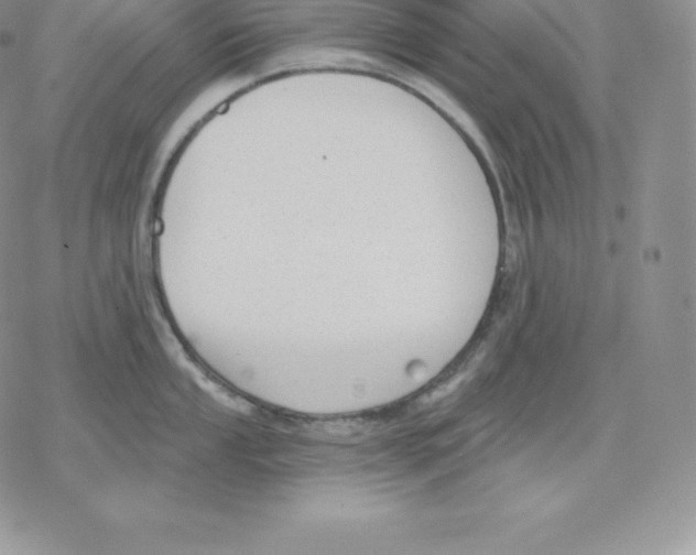 X0000077321053200611171737