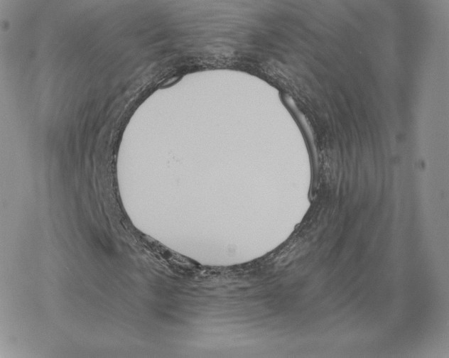 X0000077321057200611171737