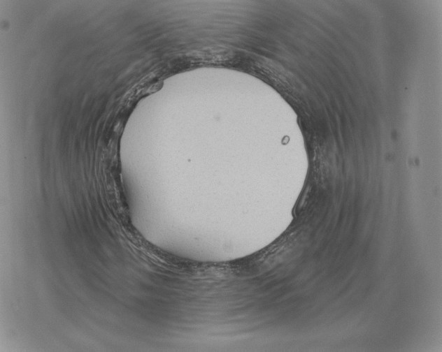 X0000077321058200611171737