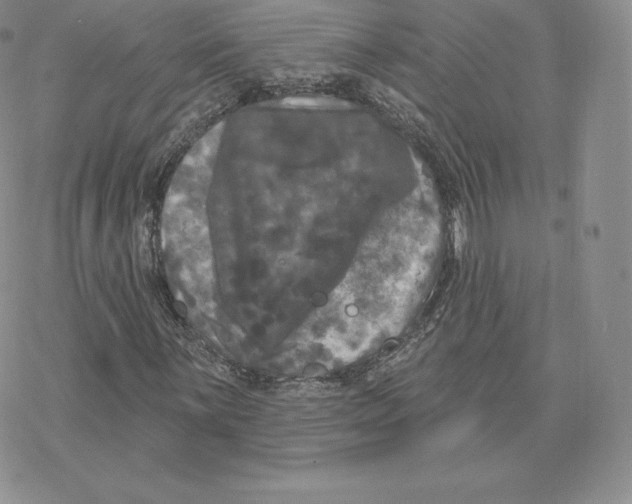 X0000077321059200611171737