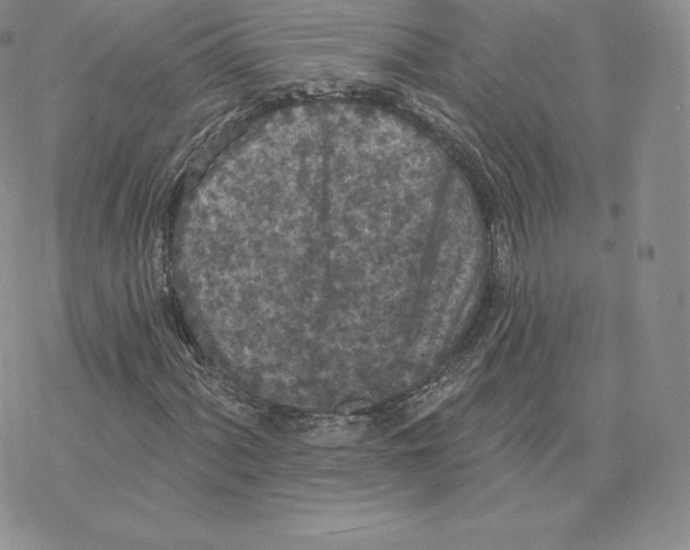 X0000077321060200611171737