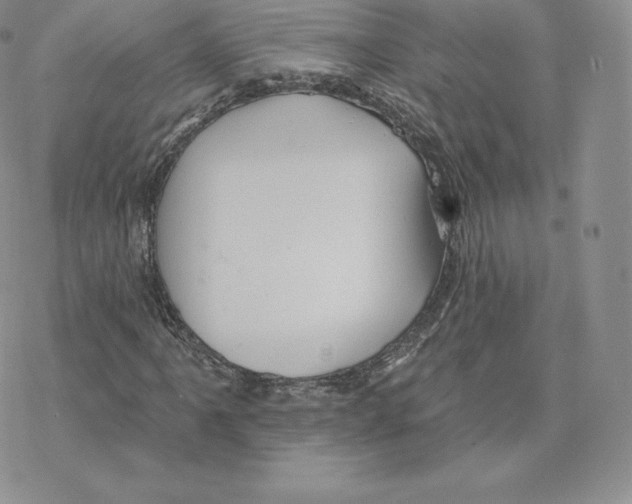 X0000077321061200611171737