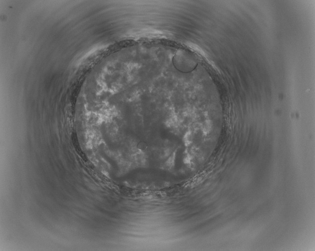 X0000077321063200611171737