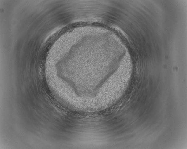 X0000077321064200611171737