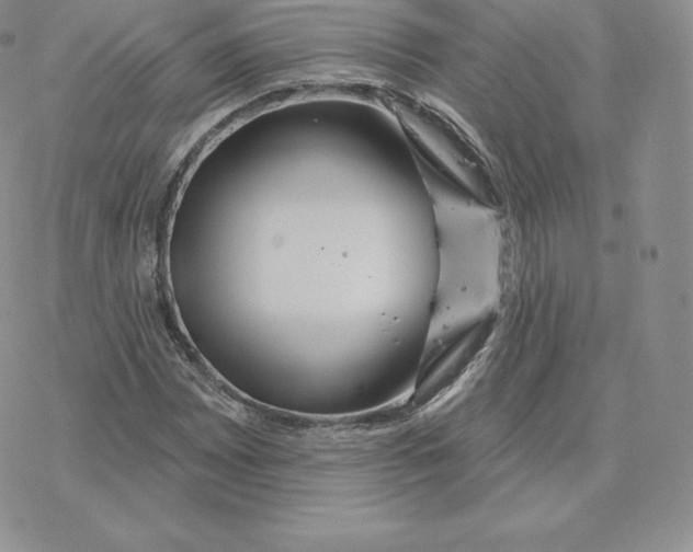 X0000077321065200611171737