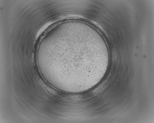 X0000077321066200611171737