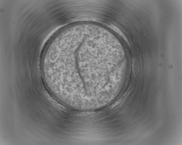 X0000077321068200611171737