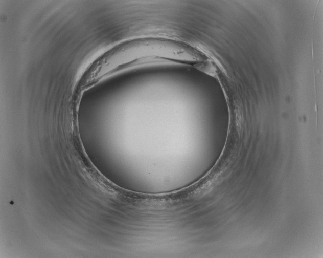 X0000077321069200611171737