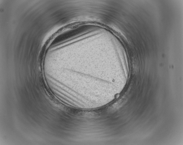 X0000077321070200611171737